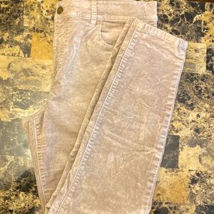 Ann Taylor Crushed Velvet pants